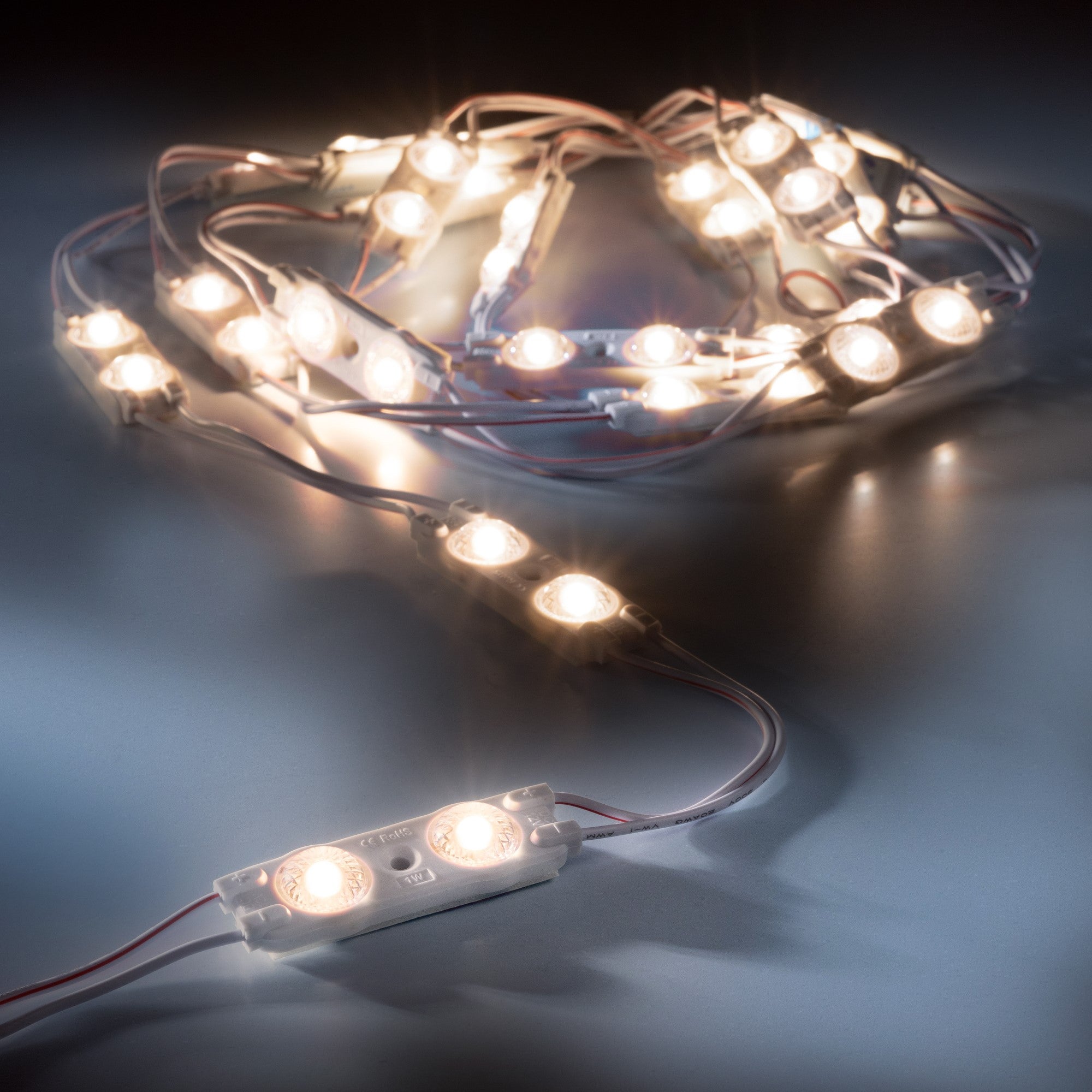 leds.de Module LED rezistente la apă 2 LED-uri 12V IP67 20 bucăți 2700 - 3000K
