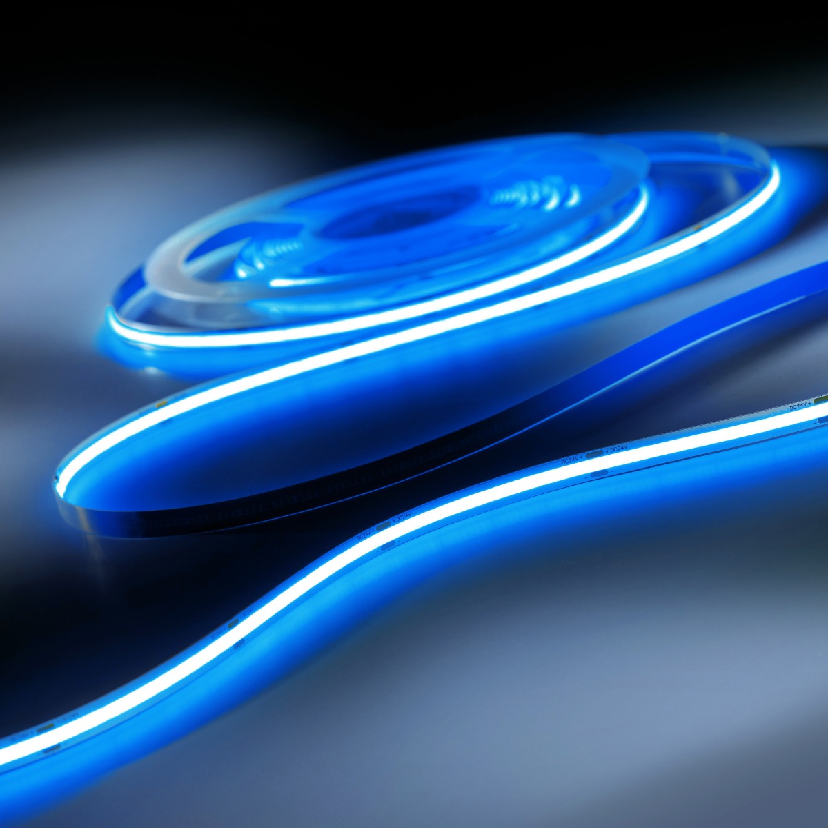 LumiFlex COB COB LED Strip cu lumină continuă Albastru 590lm 24 V 24V 5m roll (118lm/m și 6.68W/m)