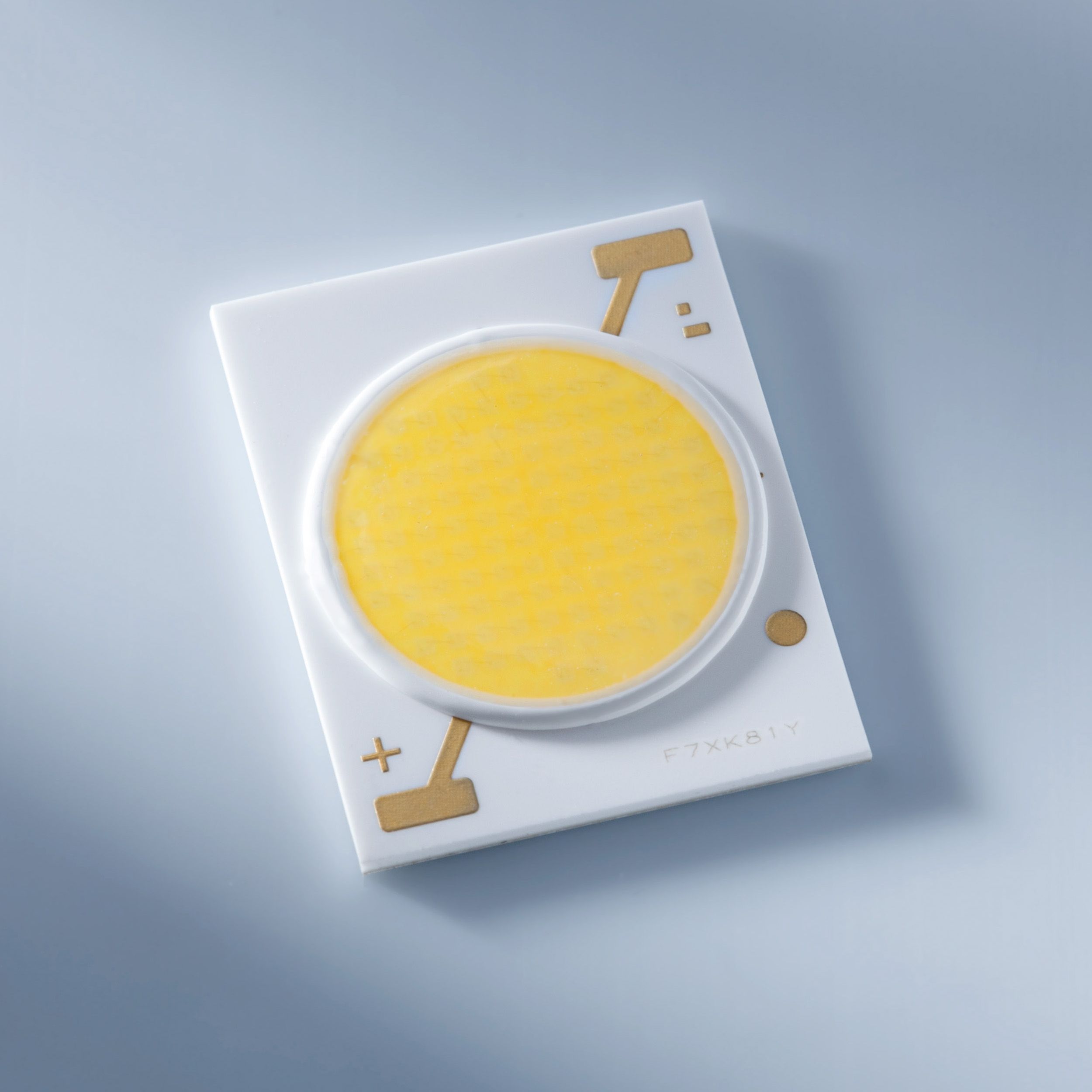 Nichia NVCWJ024Z-V1MT 24x19mm COB LED Tunable White 2 in 1 2700-5000K CRI90 2730lm