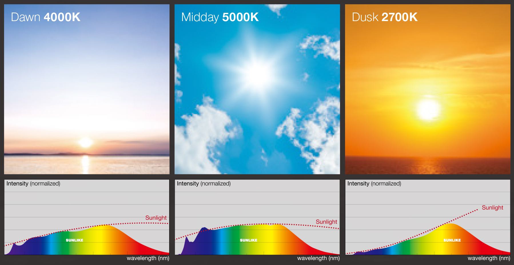 SunLike Human Centric lighting via Casambi app SunLike Human Centric lighting via Casambi app