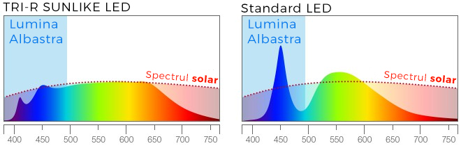 Lumina albastra: diferenta intre LED SunLike Tri-R si Standard
